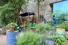 Cliquez sur la vignette pour l'agrandir